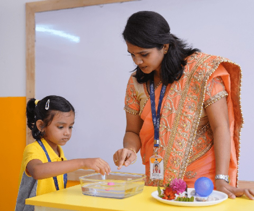 Cambridge Curriculum